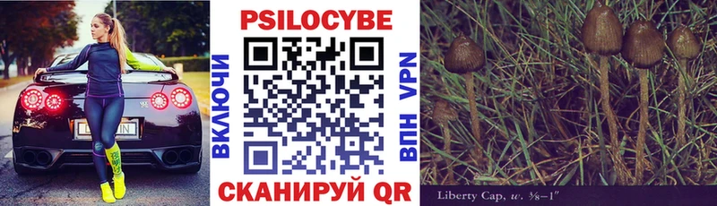 Псилоцибиновые грибы Magic Shrooms  Купить где  Уржум 