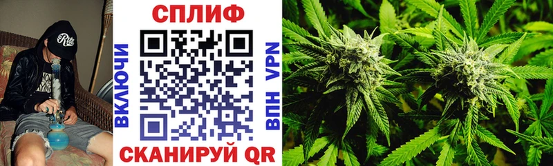 Купить где  Уржум  Бошки Шишки SATIVA & INDICA 
